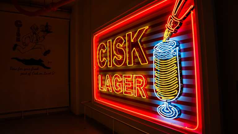 cisk-beer-tasting