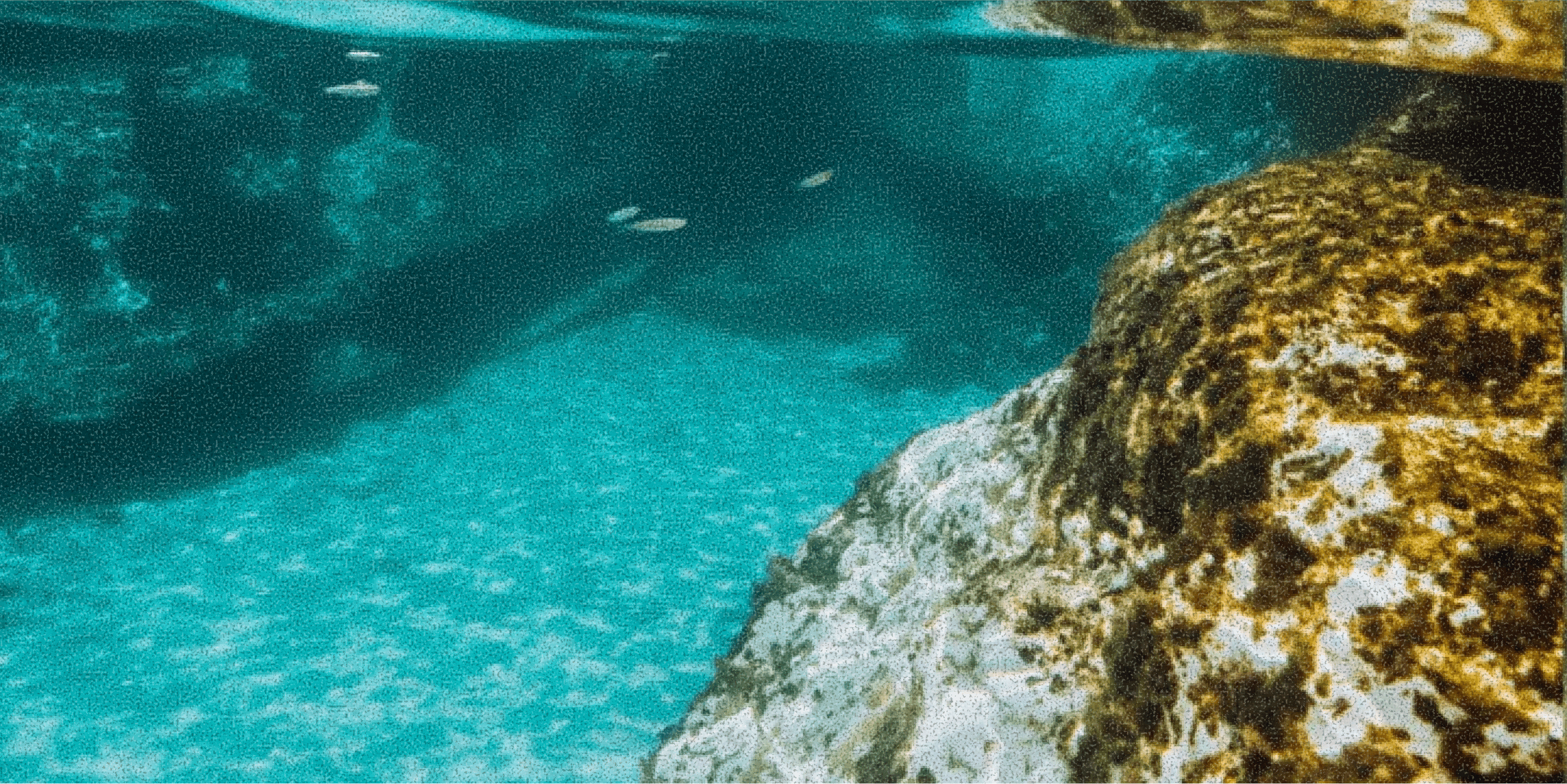 Learn English in Malta